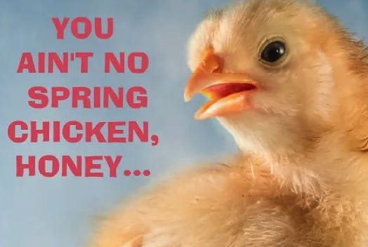 spring-chicken.jpg