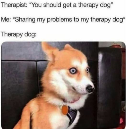 dogtherapy1*