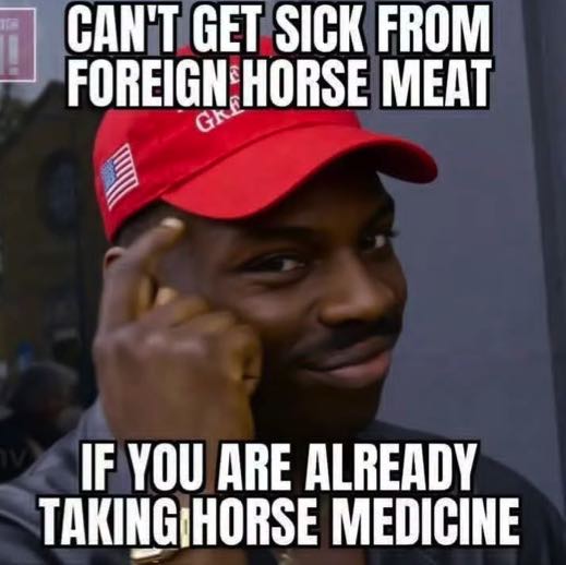 a-maga-checkmate-v0-p08dxep13vlh1.jpeg
