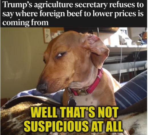 could-be-beef-could-be-beef-poisoned-with-carcinogenic-v0-k4oyx9nelplh1.png